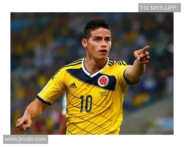 楚雄足球球星实力排名解析 揭示本地球员在全国赛场的影响力